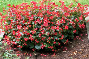 Grabpflege nach Maß von Premium Gärtnerei Böttcher